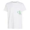 Calvin Klein T-Shirt Halbarm CK SPRAY TEE, BEIGE