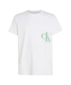 Calvin Klein T-Shirt Halbarm CK SPRAY TEE, BEIGE
