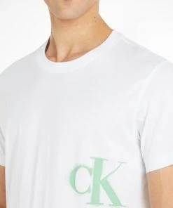 Calvin Klein T-Shirt Halbarm CK SPRAY TEE, BEIGE -Lloyd Gürtel Shop 8417bdf4 a61b 188b a614 d1d930e0d33d 600x600