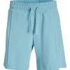 Jack & Jones Shorts JPSTBLAPUCK SHORTS EX1 23, Sky Blue/LOOSE