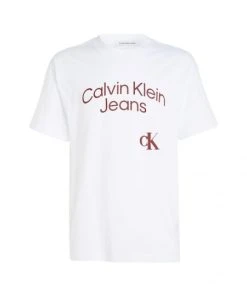 Calvin Klein T-Shirt Halbarm CURVED STACKED LOGO RELAXED TEE, WHITE