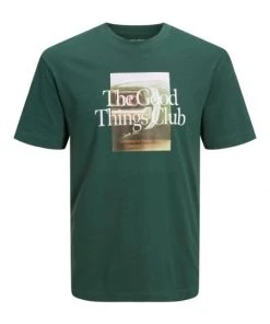 Jack & Jones T-Shirt Halbarm JORHARLOW PHOTO TEE SS CREW NECK, Trekking Green